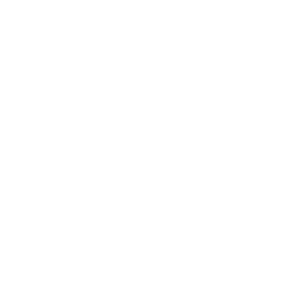Secure Payment Icon